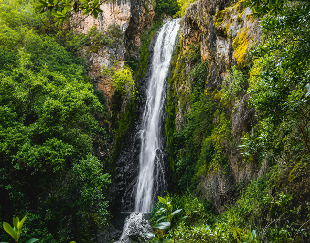 Salto de Aguas Blancas