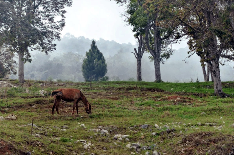Trekking Sierra de Bahoruco